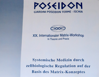 19. Internationaler Matrix-Workshop auf Ischia